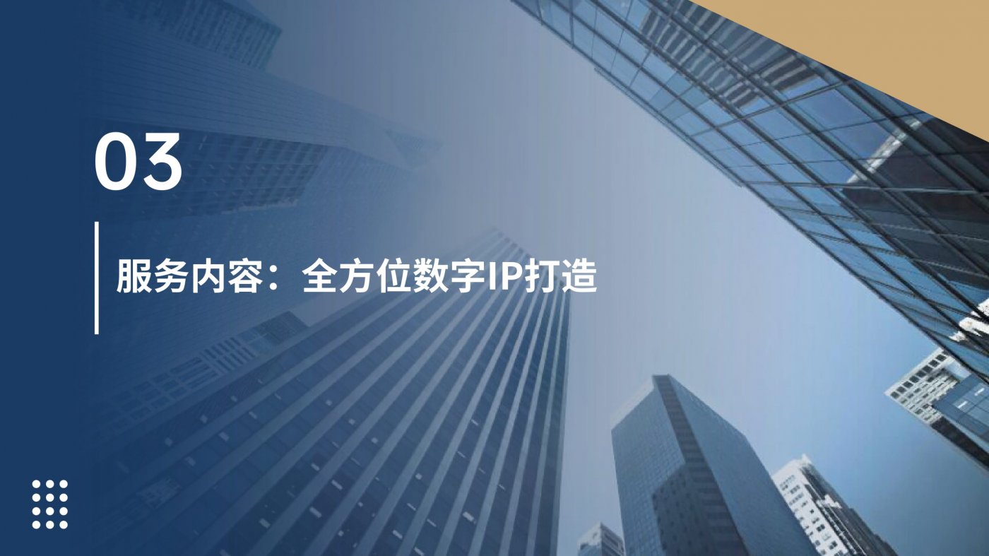 10.企业抖音运营效率低下解决方案-数字IP矩阵解决方案